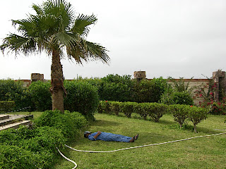 CIMG6044.JPG