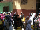CIMG6491.JPG