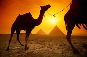 kamel_pyramide_solnedgang